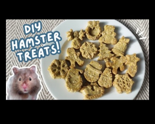 Hamster DIY Lezzetleri Devam Ediyor: Mevsimsel ve Bayram Lezzetleri