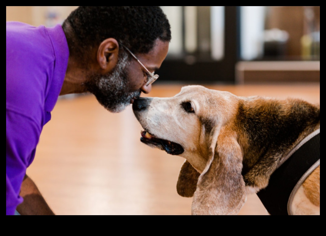 Köpek Arkadaşlığı: Köpeğinizle Güçlü Bir Bağ Kurmak