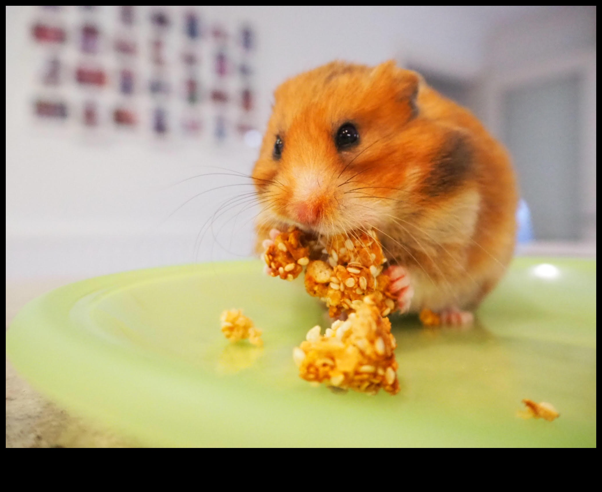 Hamster DIY Lezzetleri Devam Ediyor: Mevsimsel ve Bayram Lezzetleri